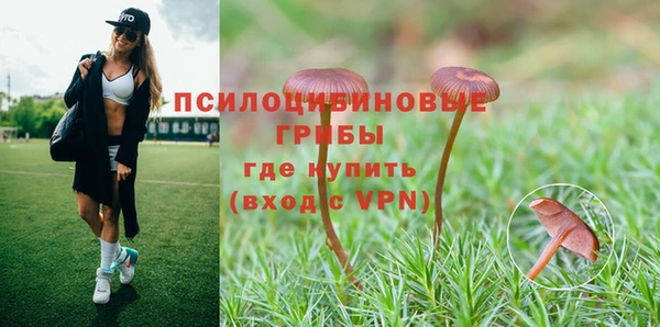 метадон Бикин