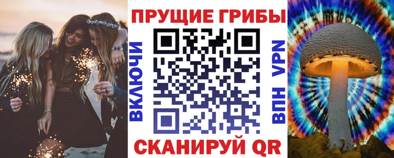 купить закладку  Ирбит  Псилоцибиновые грибы Cubensis 