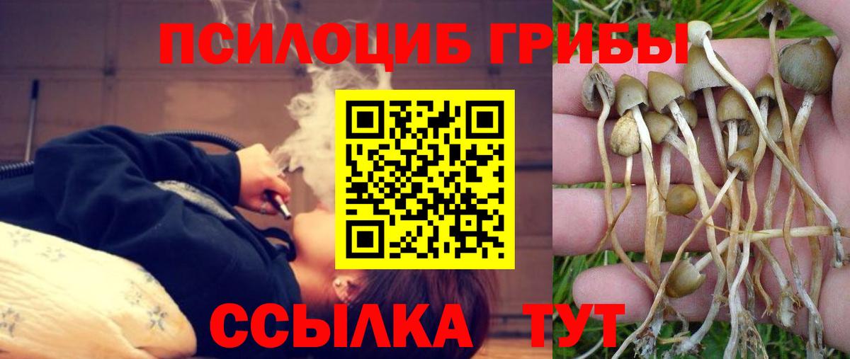 ГАШИШ  МАРИХУАНА  Вход с VPN  Ирбит  APVP СК   ЭКСТАЗИ  Меф МЯУ МЯУ  МЕФ кристаллы  COCAIN  Гашиш 