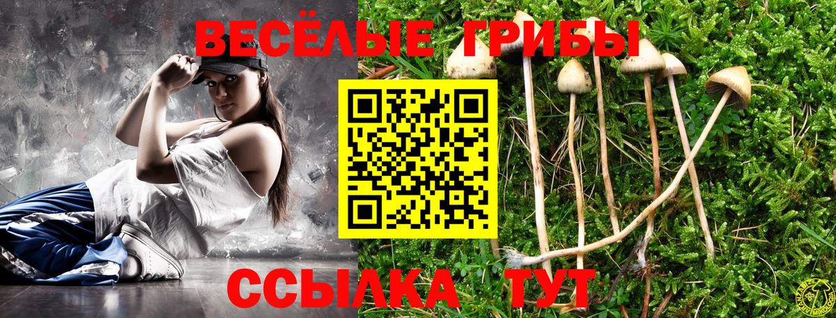 Псилоцибиновые грибы прущие грибы Ирбит